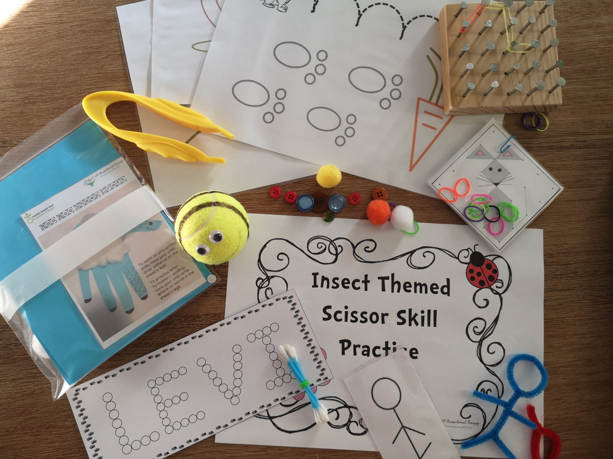 Animal Theme Activity Pack (4-6 Years)